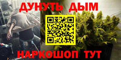 сатива Аргун