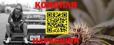 сатива Аргун