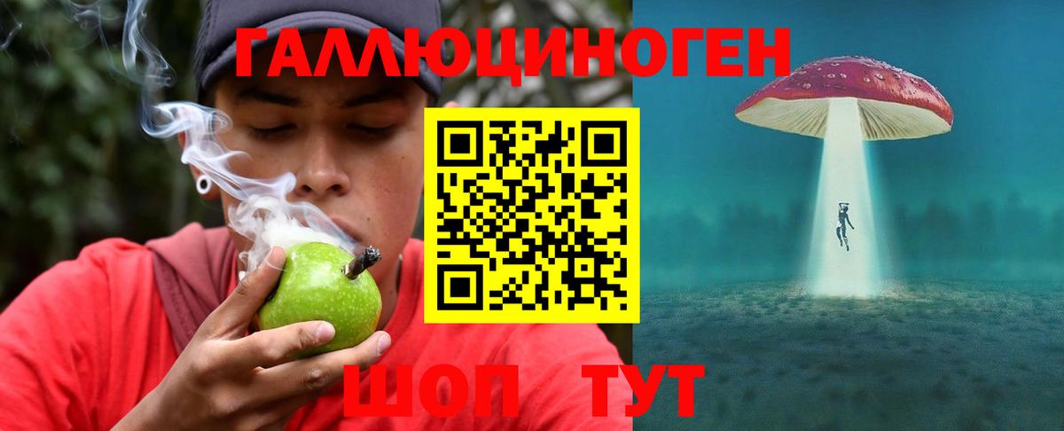 Асино  Псилоцибиновые грибы MAGIC MUSHROOMS  Галлюциногенные грибы Psilocybine cubensis  Вход с VPN 